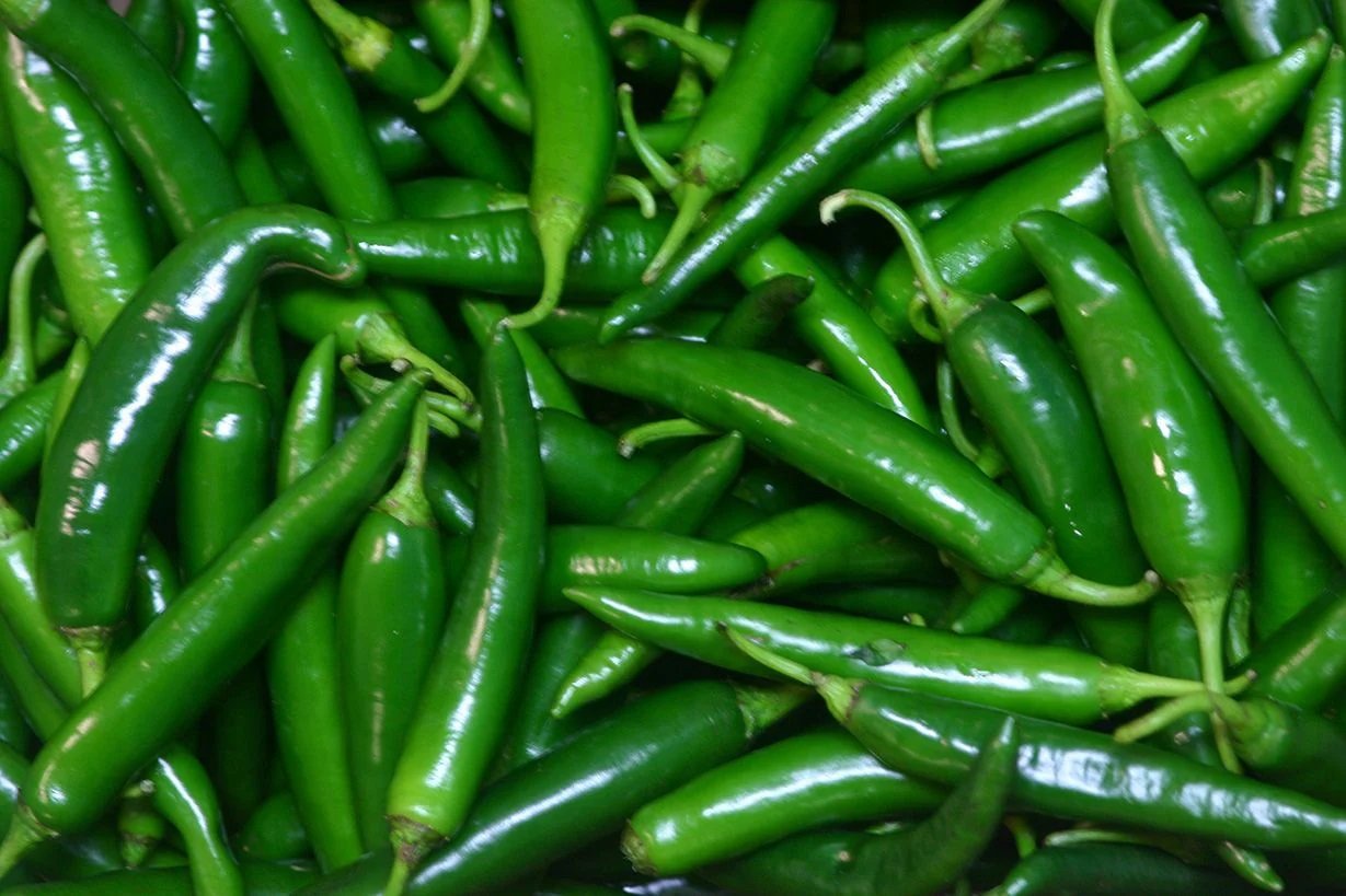 Green Chilli Exports