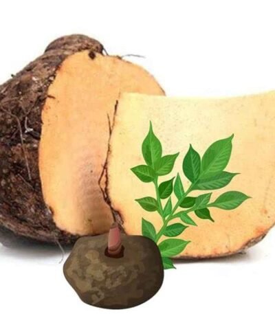 Peeled and whole Indian suran tubers prepared for international export by RDS ENTERPRISES.