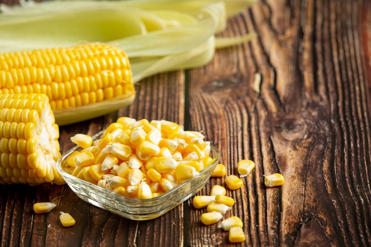 Premium yellow maize exported by RDS EXPORTS from India – Non-GMO and nutrient-rich