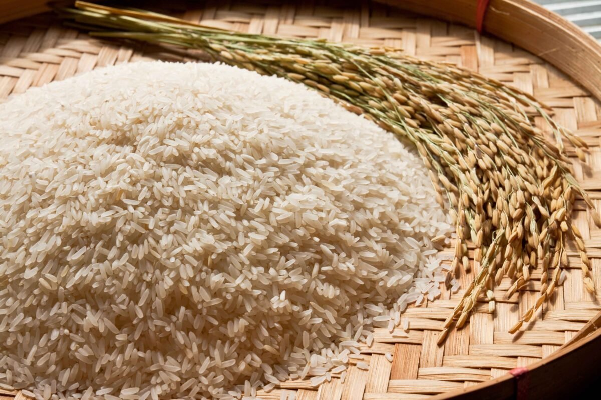 Premium basmati rice from India exported by RDS EXPORTS – long grain and aromatic