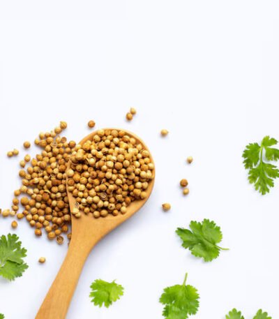 RDS Coriander Powder – Finely Ground Dhania with Rich Aroma and Export Quality