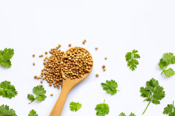 RDS Coriander Powder – Finely Ground Dhania with Rich Aroma and Export Quality