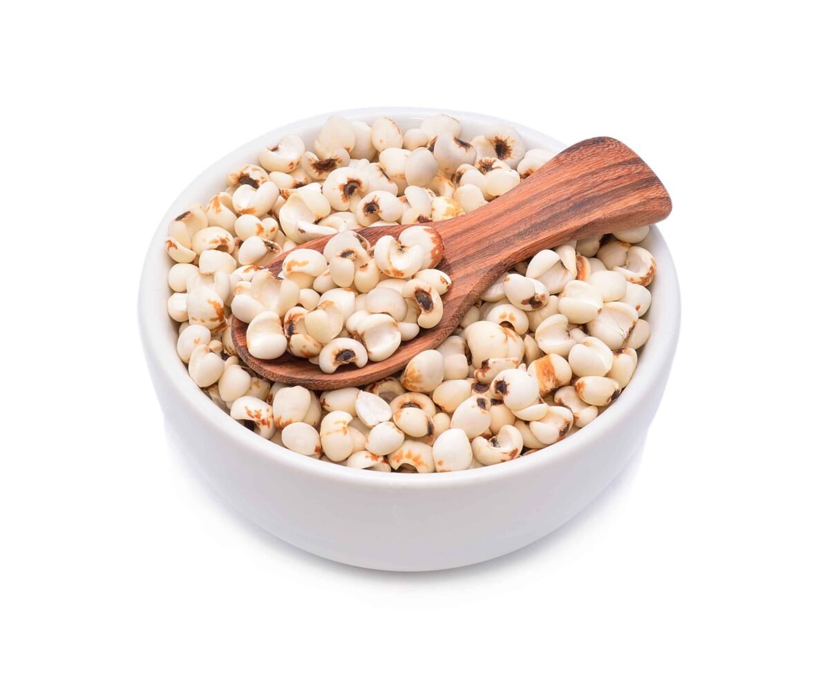 Premium Indian sorghum (jowar) exported by RDS EXPORTS – Gluten-free grain