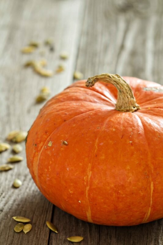 Bright orange Indian red pumpkins packed for global export by RDS ENTERPRISES.