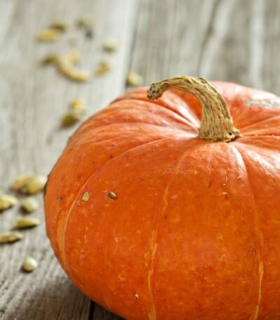 Bright orange Indian red pumpkins packed for global export by RDS ENTERPRISES.