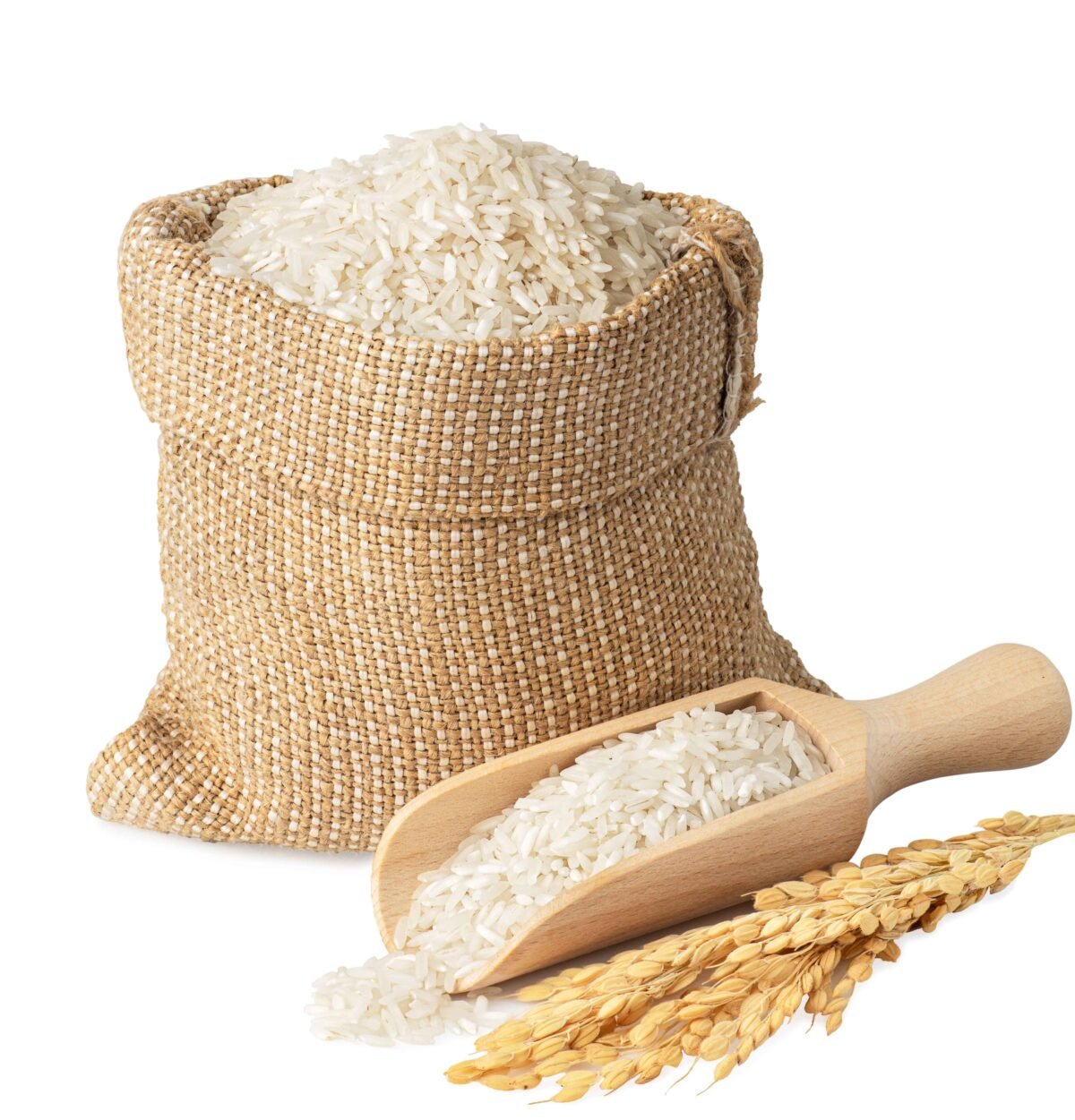 Premium basmati rice from India exported by RDS EXPORTS – long grain and aromatic