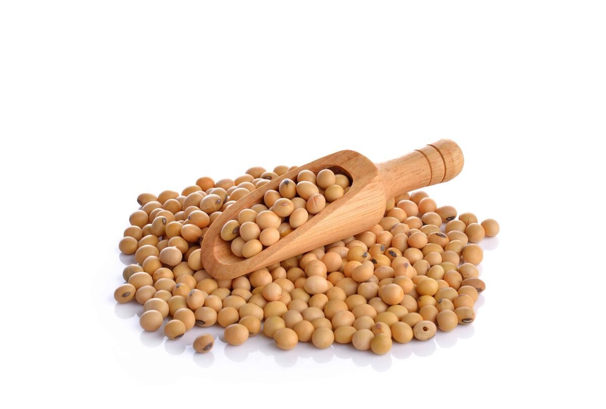 High-quality Indian soybeans by RDS EXPORTS – protein-rich and export-ready
