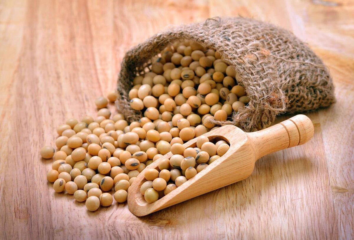 High-quality Indian soybeans by RDS EXPORTS – protein-rich and export-ready