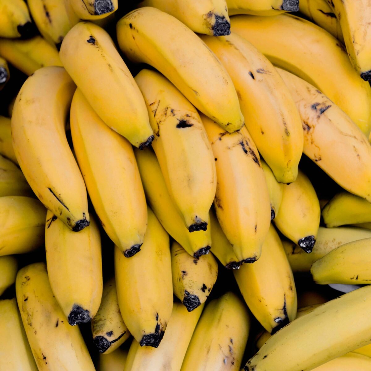 Yellow Indian bananas packed in cartons for international export by RDS ENTERPRISES.