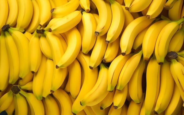 Yellow Indian bananas packed in cartons for international export by RDS ENTERPRISES.