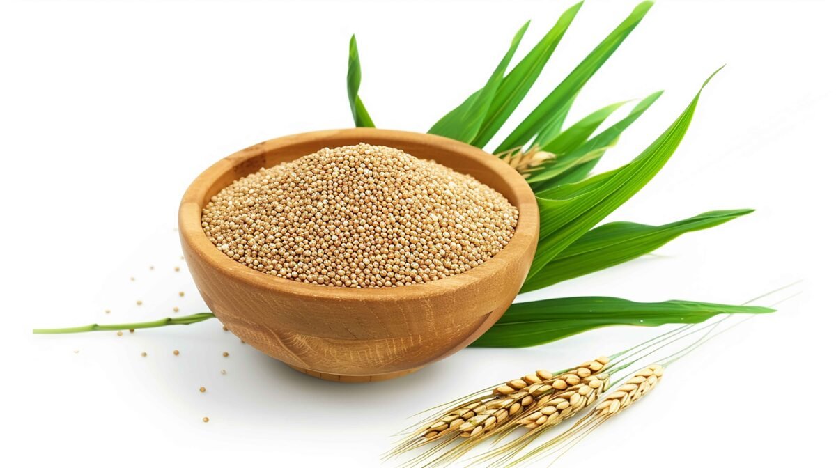 Organic Indian millets variety exported by RDS EXPORTS – Gluten-free super grains