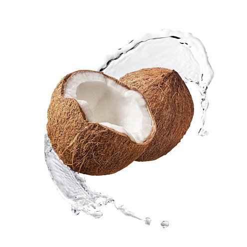 Coconut
