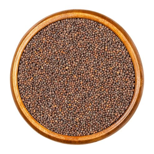 Mustard or Rapeseeds