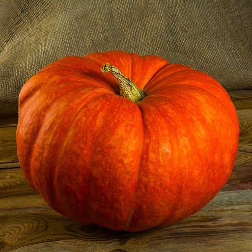 Red Pumpkin