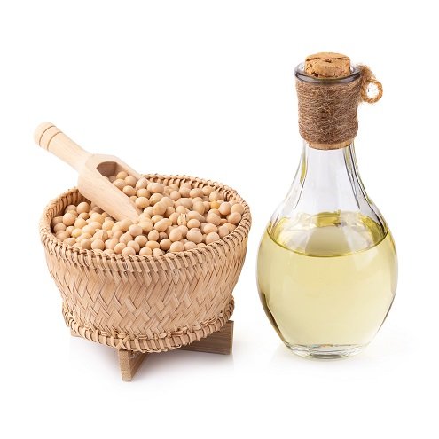 oil seeds
