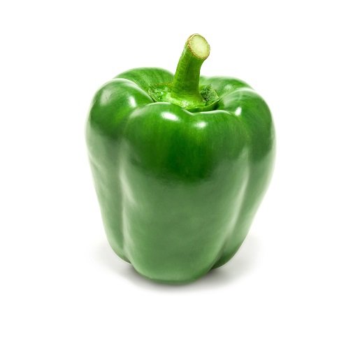 capsicum