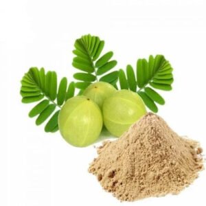 Bhumi Amla Dry Extract herbal product label