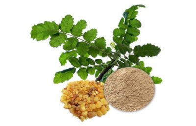 Boswellia Serrata Extract – Pure Frankincense Resin Botanical Extract for Skincare