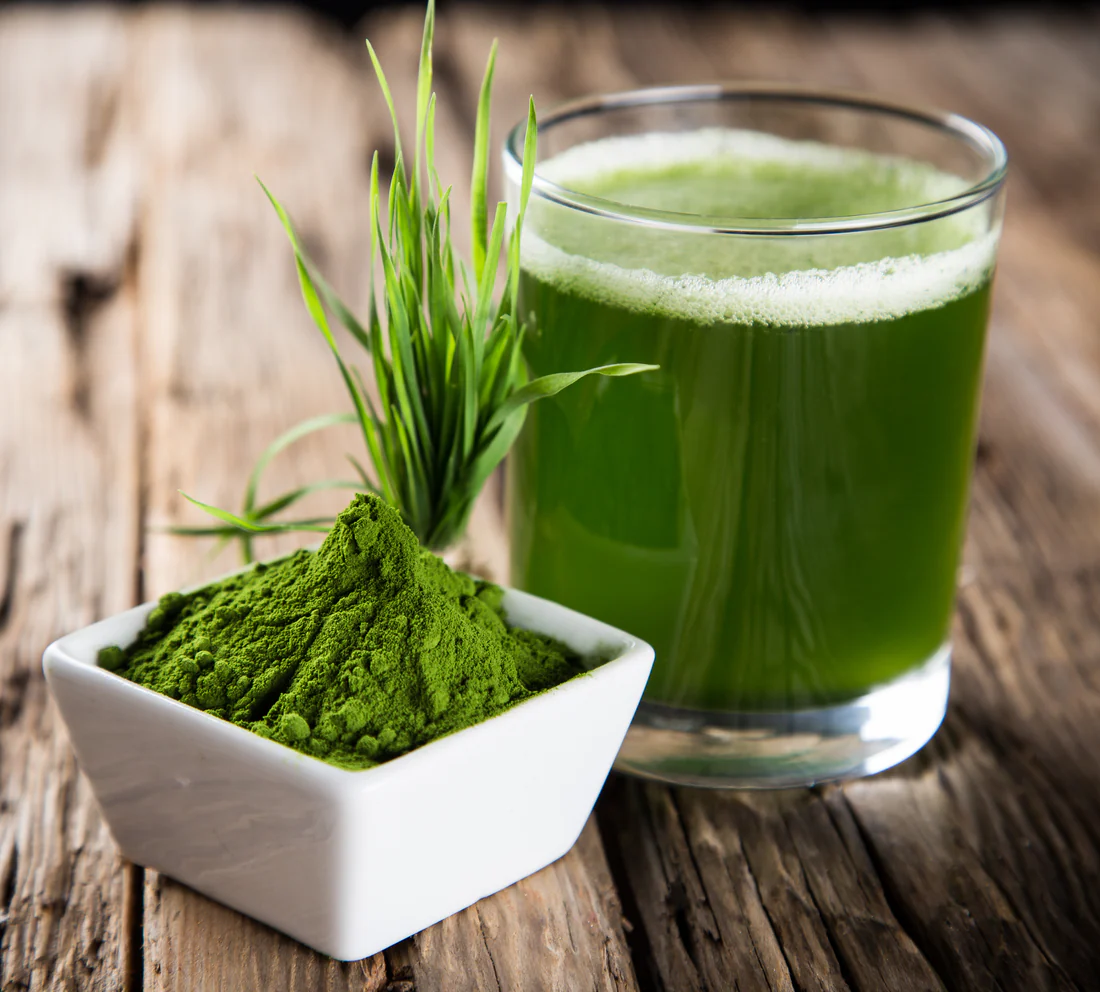 Depositphotos_48545897_XL Wheatgrass Powder text representing the green nutrient-rich superfood.