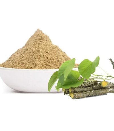 Premium Giloy Extract Natural Immunity Booster