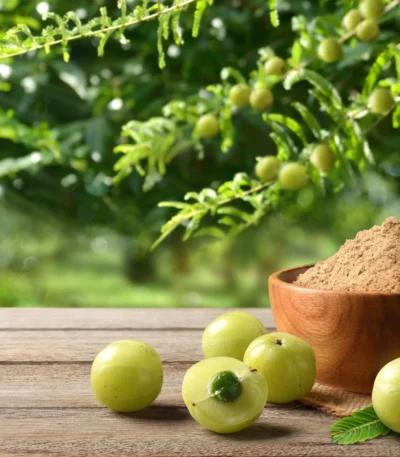 Premium Amla Extract Vitamin C Superfood Supplement