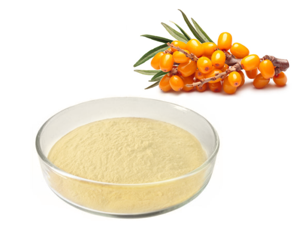 Sea Buckthorn Extract with bright orange sea buckthorn berries.
