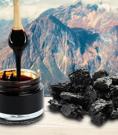 Premium Himalayan Shilajit Resin – Pure Organic Asphaltum / Minera Supplement