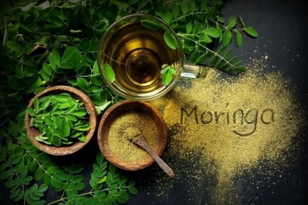 Organic Moringa Powder – Natural Superfood for Energy and Immunity