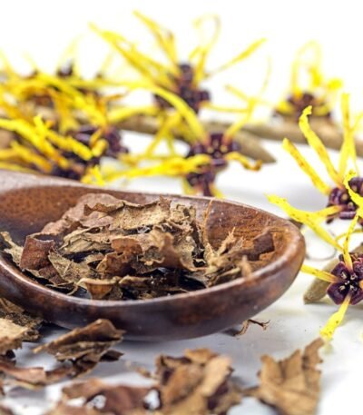 Hamamelis Extract in a bottle with natural witch hazel plant leaves.