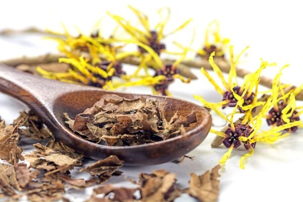 Hamamelis Extract in a bottle with natural witch hazel plant leaves.