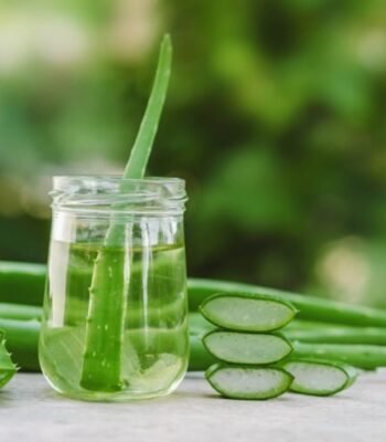 Aloe Vera 200X / 100X Concentrated Extract – Ultra-Pure Herbal Wellness Ingredient