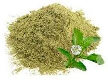 Bhringraj Dry Extract – Pure Eclipta Alba Herbal Extract for Hair and Skin