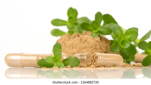 Brahmi Extract – Pure Bacopa Monnieri Herbal Extract for Skin and Hair