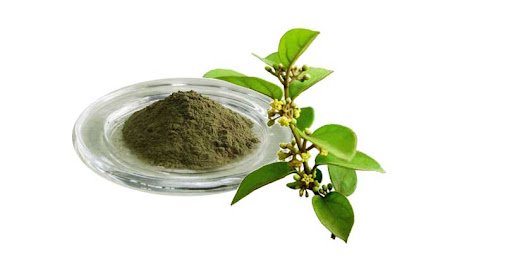 Gudmar Dry Extract herbal supplement label