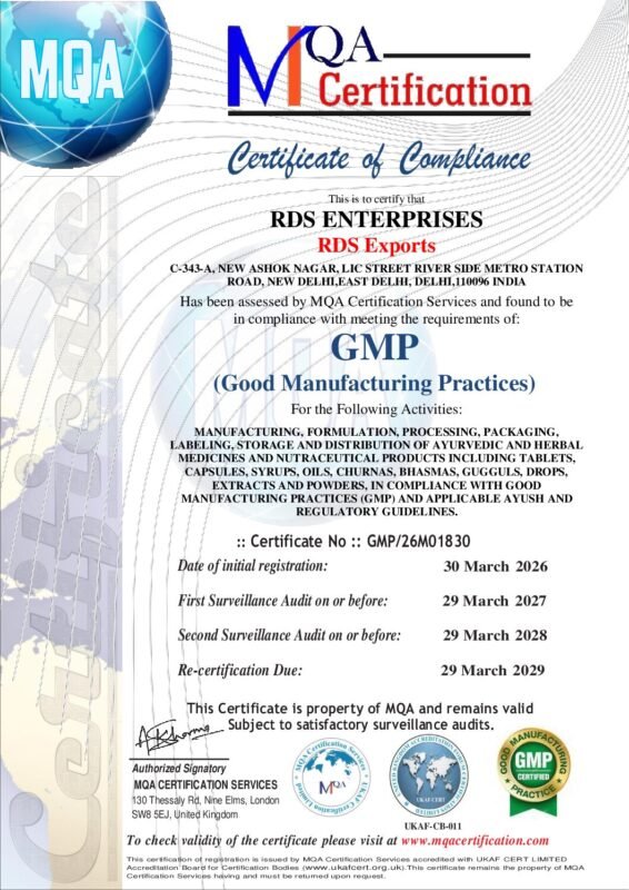 thumbnail of GMP RDS ENTERPRISES_260330_162953